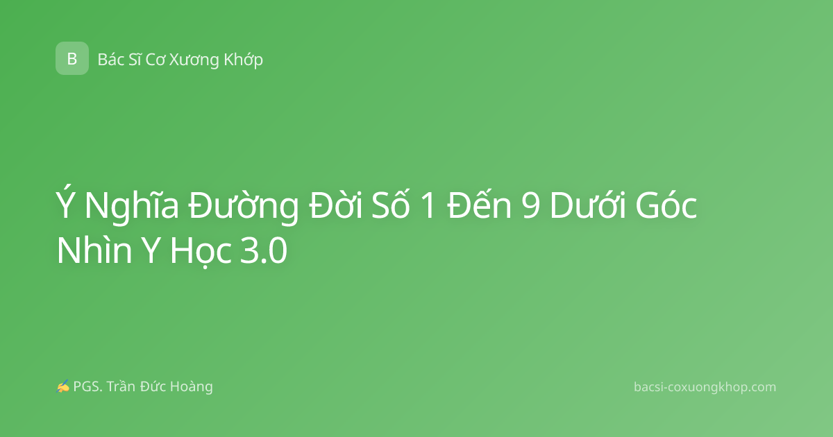 Ý Nghĩa Đường Đời Số 1 Đến 9 Dưới Góc Nhìn Y Học 3.0